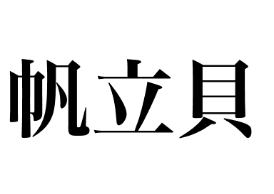 Common scallop (Hotate)