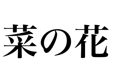 Rape blossoms (Nanohana)