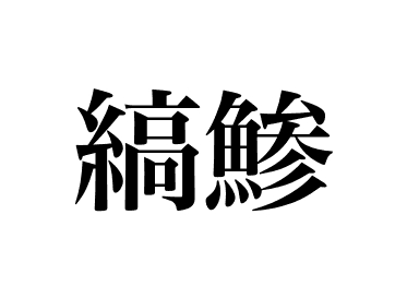 黃帶擬鰺 (Shima aji)