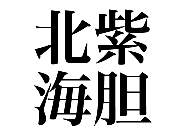 Erizo de mar Kitamurasaki (Kitamuurasaki uni)