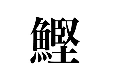 Echter Bonito (Katsuo)