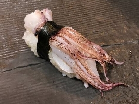 Cuttlefish legs (Geso)