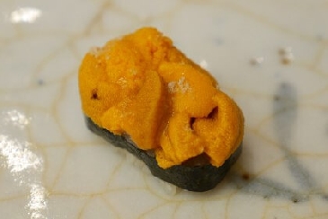 Green sea urchin (Bafun uni)